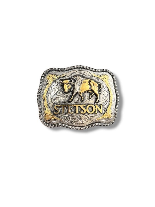 Hebilla Stetson